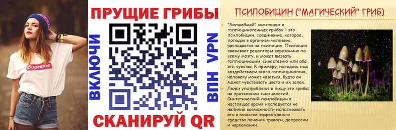 где можно купить Остров Псилоцибиновые грибы Psilocybine cubensis